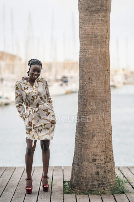 Elegante felice bella signora afroamericana con trecce africane guardando la fotocamera nel parco — Foto stock