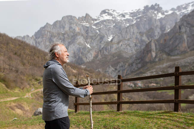 Vista laterale dell'uomo anziano con bastone da passeggio che ammira la montagna Picos de Europa negli altopiani durante il viaggio nella città di Caino in Castiglia e Leon, Spagna — Foto stock
