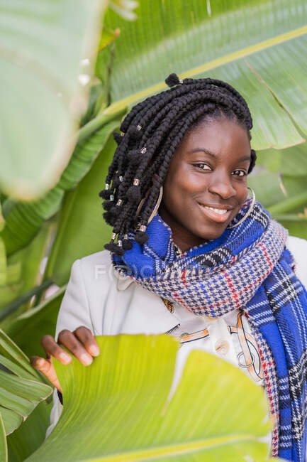 Elegante linda senhora afro-americana encantadora com tranças africanas olhando para a câmera no parque verde — Fotografia de Stock