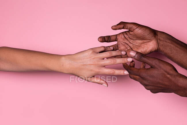 Vista superior de las manos multiétnicas de la mujer blanca y el hombre negro tocándose suavemente aislados sobre fondo rosa; concepto de unidad e inclusión - foto de stock