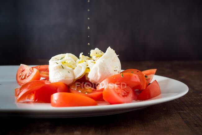 Rebanadas de tomate maduro y queso mozzarella servido en plato blanco - foto de stock