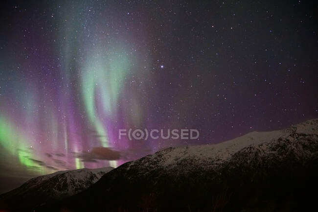 Spektakuläre grüne und rosa Nordlichter in Tromsö — Stockfoto