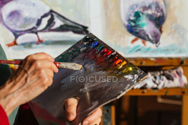 Desde arriba de la cosecha irreconocible pintor senior mezcla de colores en la paleta de pintura en el taller de arte - foto de stock