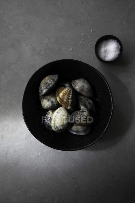 Vue du dessus du bol avec des palourdes non cuites et du sel placé sur la table grise pendant la préparation des aliments — Photo de stock