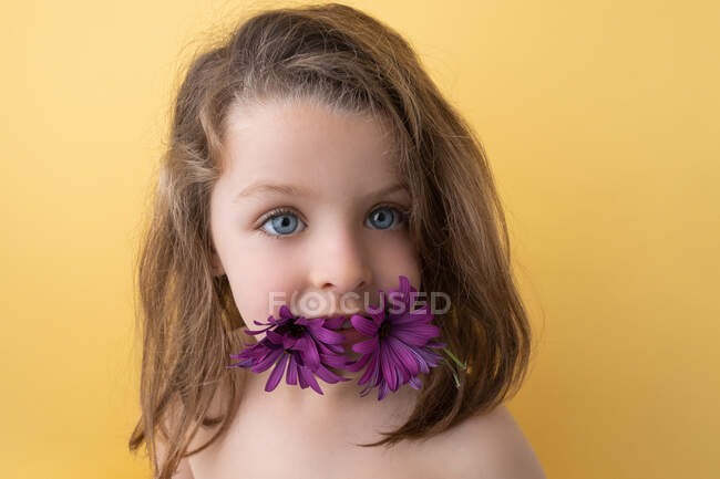 Симпатичная улыбающаяся маленькая девочка с ярко-фиолетовыми цветами герберы во рту смотрит на камеру на желтом фоне как на концепцию лета и детства — стоковое фото