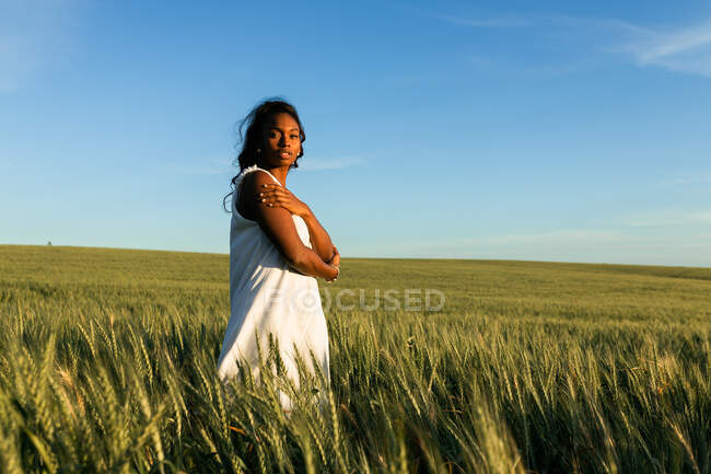 Vista lateral joven dama negra en vestido de verano blanco paseando por el campo de trigo verde mientras mira hacia otro lado durante el día bajo el cielo azul - foto de stock