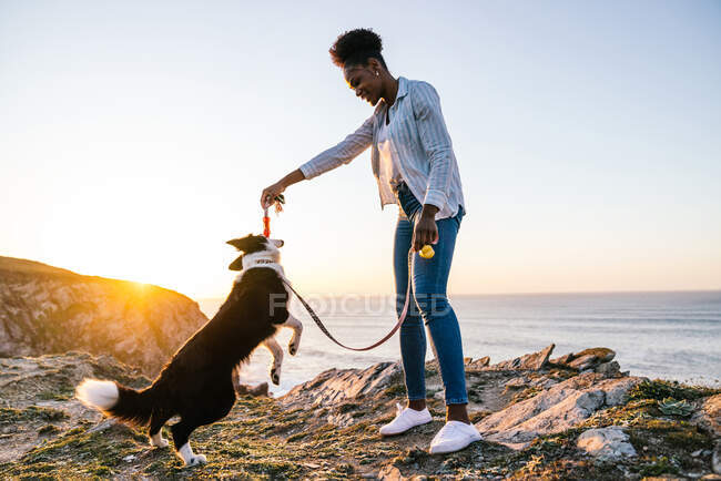 Side view of young African American female owner with toy in hand playing with Border Collie dog while spending time together on beach near waving sea at sunset — Stock Photo
