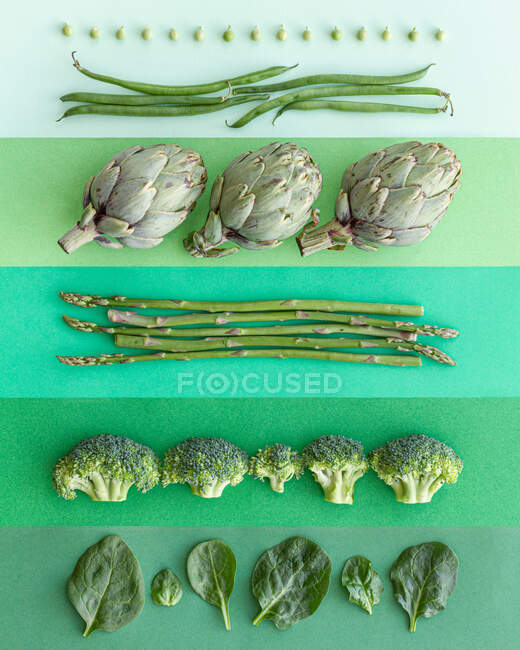 Primer plano de un fondo verde, con varias verduras, dispuestos en filas - foto de stock