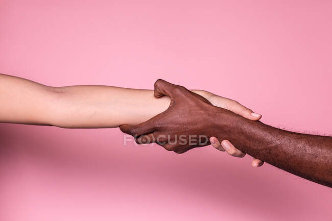 Mani multietniche di donna bianca e uomo nero che si toccano gli avambracci saldamente isolati su sfondo rosa; concetto di unità e inclusione — Foto stock