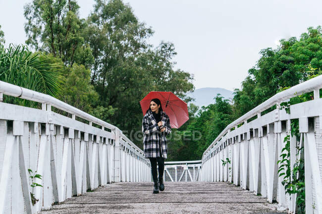Elegante hembra joven con paraguas rojo caminando por el puente y mirando hacia otro lado en el día lluvioso en el parque - foto de stock