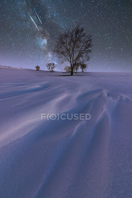 Paisagem espetacular com Via Láctea no colorido céu noturno acima do campo nevado refletindo luz roxa com árvores sem folhas — Fotografia de Stock