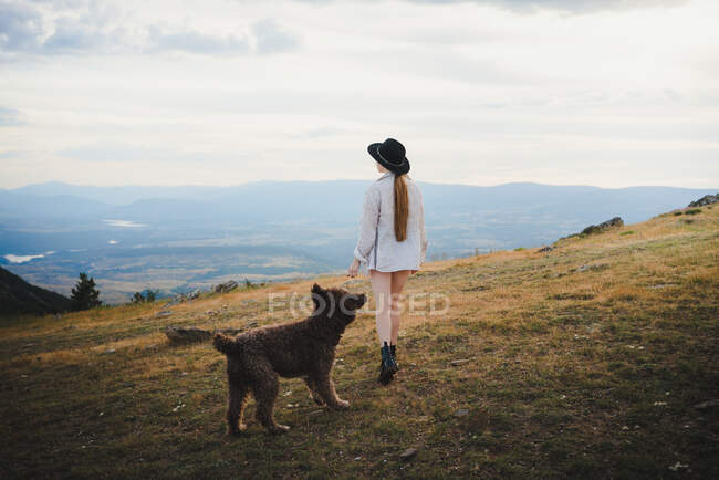 Обратный вид на неузнаваемую владелицу, гуляющую с послушной лабрадудл-собакой в горах — стоковое фото