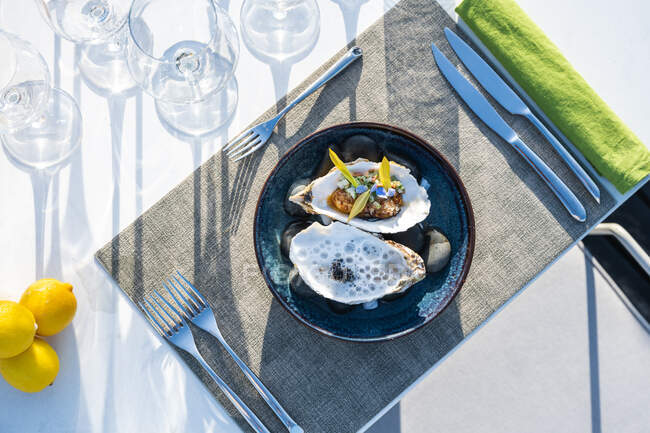Prato de ostra delicioso e bem decorado no restaurante de alta cozinha ao ar livre — Fotografia de Stock