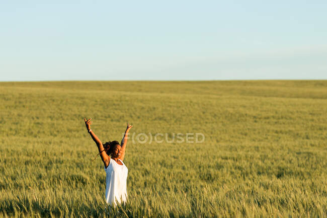 Joven dama negra en vestido de verano blanco paseando por el campo de trigo verde mientras mira a la cámara durante el día bajo el cielo azul - foto de stock