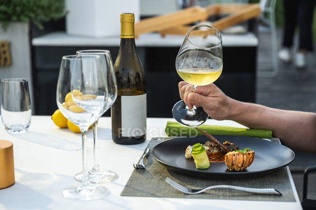 Delizioso e ben decorato piatto di aragosta al ristorante di alta cucina all'aperto — Foto stock