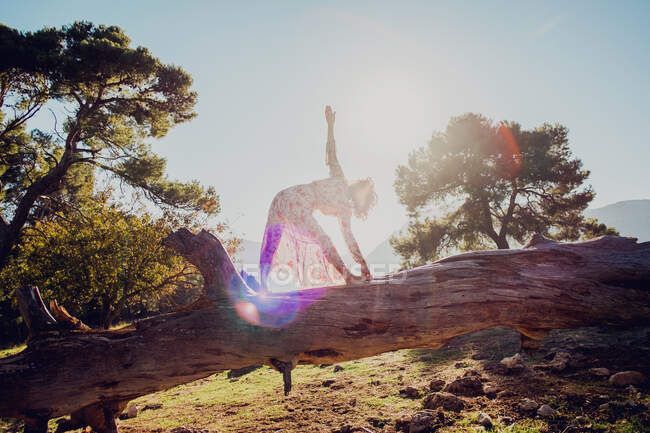 Mulher graciosa irreconhecível no vestido praticando ioga em Trikonasana enquanto está em pé no tronco da árvore em terras altas no dia ensolarado — Fotografia de Stock