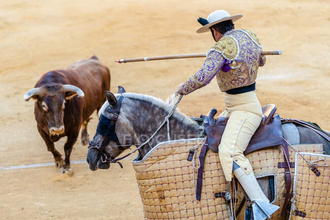 Unrecognizable picador with lance riding horse and performing on bullring with angry bull during corrida — Stock Photo