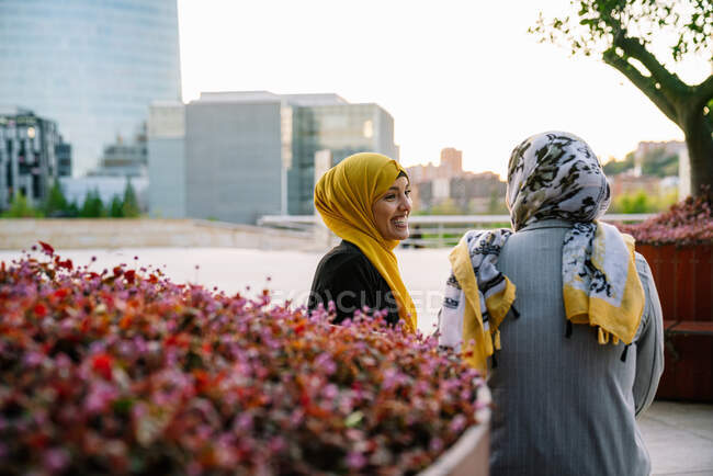 Délicieuses amies mousseline en hijabs assises sur un banc et se regardant pendant le week-end en ville — Photo de stock