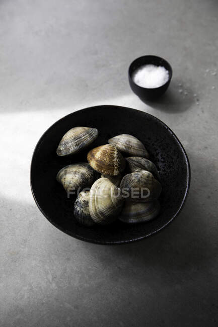 Top view of bowl with uncooked clams and salt placed on gray tabletop during food preparation — Stock Photo