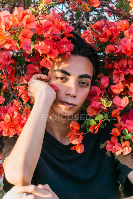 Serene gay male leaning on hands and looking at camera in summer park with blossoming flowers — Stock Photo