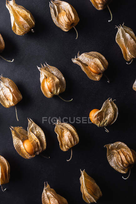 Top view of seamless background of orange physalis placed in rows on black table — Stock Photo