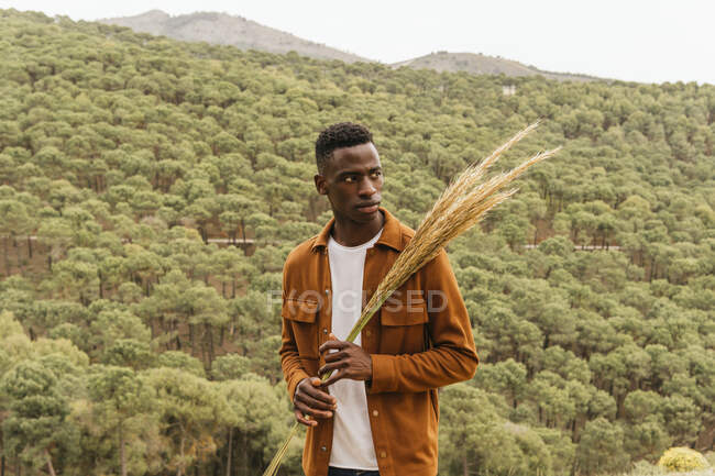 Серьезный афроамериканец с кучей сушеной пшеницы, стоящей на природе и смотрящей в сторону — стоковое фото