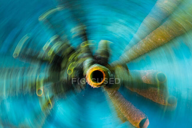 From above long exposure yellow tube sponge in blue sea water in coral reef — Stock Photo