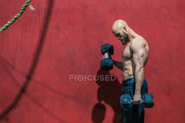 Vue latérale de l'athlète barbu fort regardant loin avec des haltères lourds marchant dans la salle de gym moderne pendant l'entraînement d'haltérophilie — Photo de stock