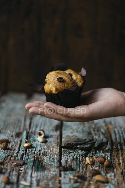 Hände einer unkenntlichen Person, die einen Muffin mit Schokoladenstücken trägt — Stockfoto
