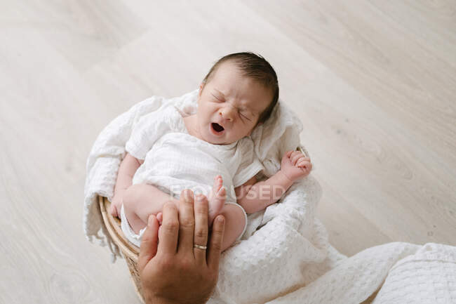 Зверху обрізана нерозпізнана рука тримає чарівного новонародженого сплячого, лежачи на м'якій ковдрі в кошику, розміщеній на підлозі — стокове фото