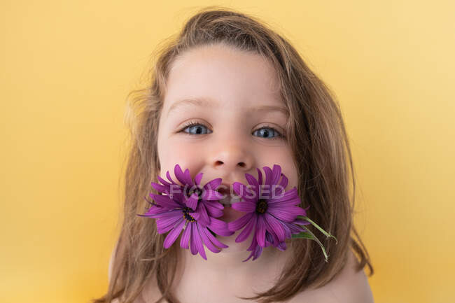 Cute smiling little girl with bright violet gerbera flowers in mouth looking at camera against yellow background as concept of summer and childhood — Stock Photo
