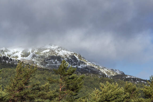 Valle tranquilla con montagne boscose sotto cielo grigio nuvoloso nel Parco Nazionale Guadarrama a Madrid — Foto stock
