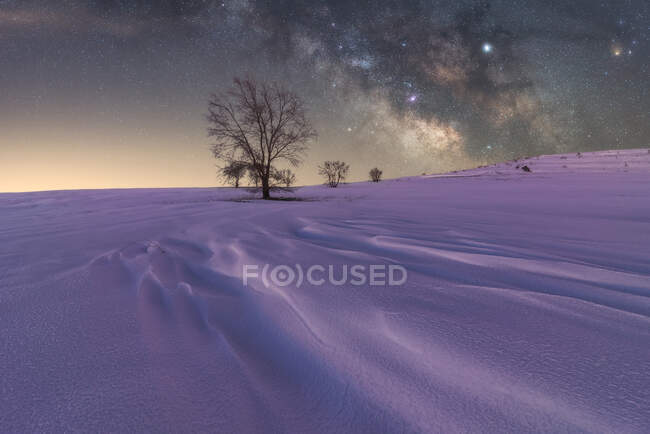 Дивовижний пейзаж з Чумацьким Шляхом у барвистому нічному небі над сніжним полем, що відбиває пурпурове світло з безликими деревами. — стокове фото