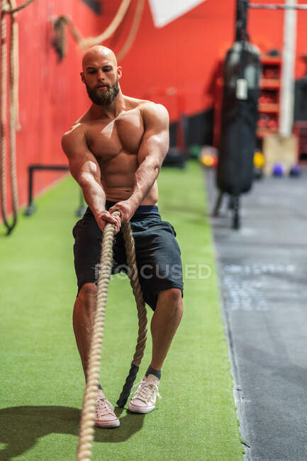 Forte sportivo tirando corda con pesi pesanti durante un intenso allenamento in palestra contemporanea — Foto stock