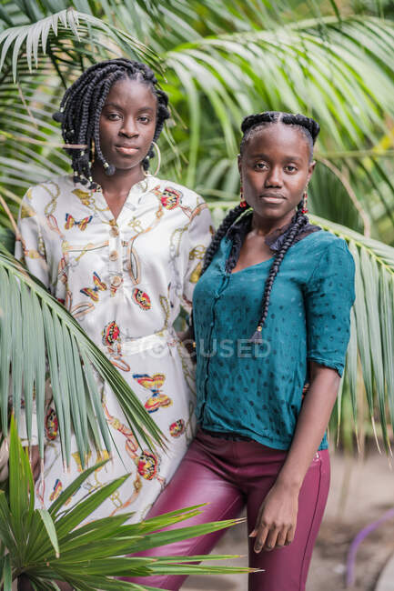 Stylish charming beautiful African American ladies with African braids looking at camera in green park — Stock Photo