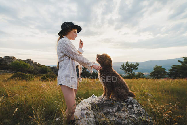 Vista lateral do proprietário do sexo feminino com treinamento de alimentos cão Labradoodle obediente sentado na rocha nas montanhas — Fotografia de Stock