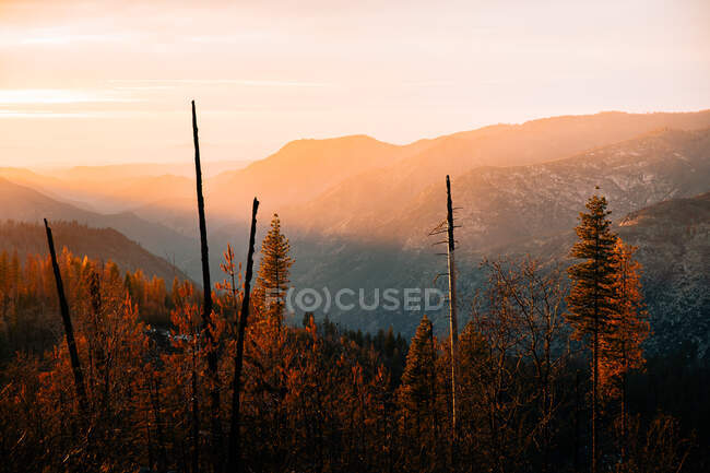 Grandes vistas del Parque Nacional Yosemite - foto de stock