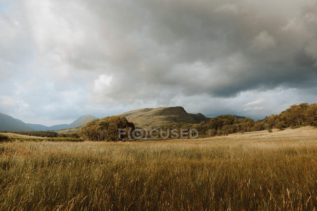 Серое облачное небо над холмом и травянистый луг в капризный день в сельской местности Великобритании — стоковое фото