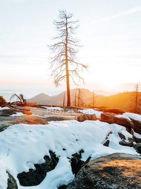 Pintoresco paisaje de terreno rocoso nevado con altos árboles desnudos contra las tierras altas brumosas en el horizonte en el Parque Nacional Sequoia durante el atardecer en clima frío y soleado - foto de stock
