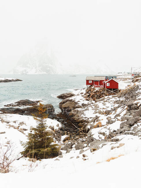 Red cabins located on mountain range snowy coast on Lofoten Islands, Norway — Stock Photo