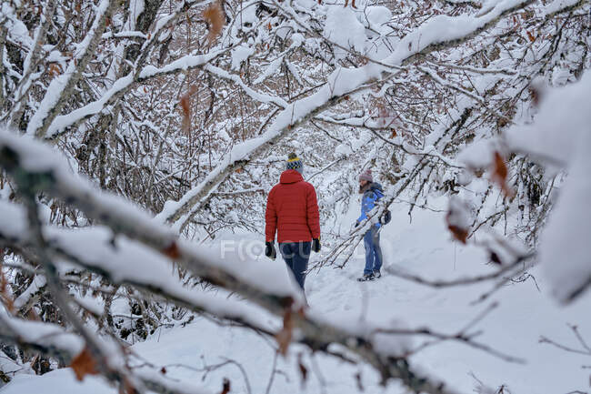 Вигляд з - за пари, яка йде по снігу по гірській дорозі. — стокове фото