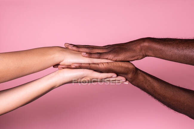 Mani multietniche di donna bianca e uomo nero che toccano palme delicatamente isolate su sfondo rosa; concetto di unità e inclusione — Foto stock