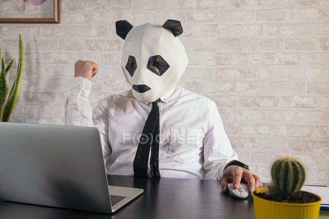 Anonymous male entrepreneur in panda bear mask and white shirt working at table with netbook in workspace with fist up celebrating victory — Stock Photo