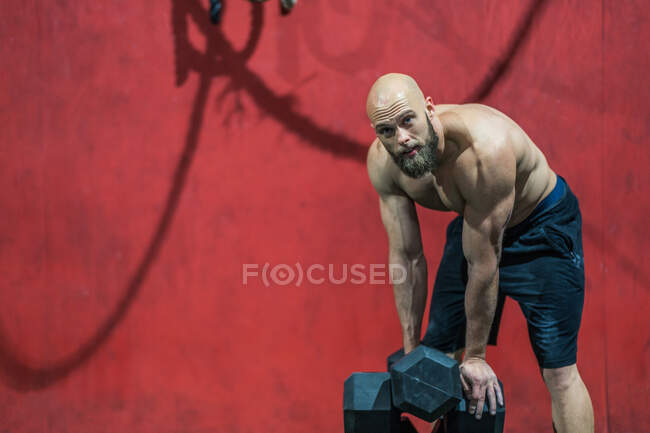 Fuerte atleta barbudo mirando a la cámara mientras descansa con pesadas mancuernas en el gimnasio moderno durante el entrenamiento de levantamiento de pesas - foto de stock