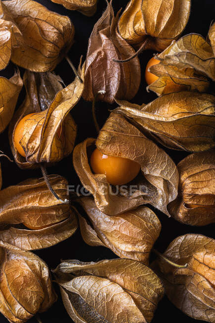 Vista superior do fundo sem costura de physalis laranja colocado em fileiras na mesa preta — Fotografia de Stock