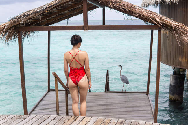 Rückenansicht einer anonymen Frau im Badeanzug, die auf den Malediven eine Treppe ins Wasser hinuntersteigt und sich entspannt — Stockfoto