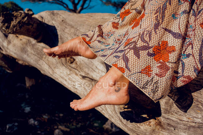 Неузнаваемая урожая женщина в летнем платье и с татуировкой на ноге сидит на стволе дерева в лесу — стоковое фото