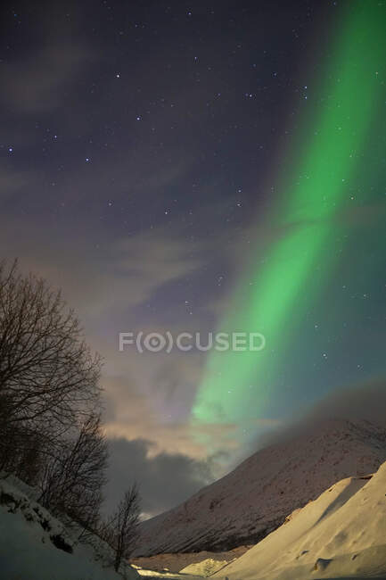 Spektakuläre grüne und rosa Nordlichter in Tromsö — Stockfoto