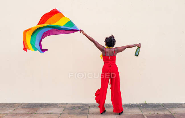 Rückseite Afroamerikanerin in eleganter Kleidung mit Flasche alkoholischen Getränks und bunter Fahne, die auf hellem Hintergrund nach oben blickt — Stockfoto