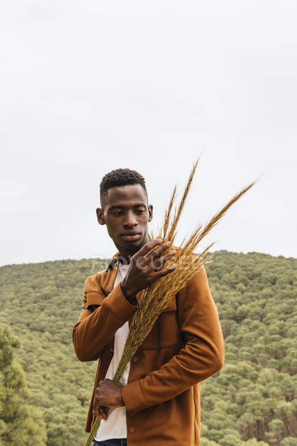 Serious African American male with bunch of dried wheat standing in nature and looking away — Stock Photo